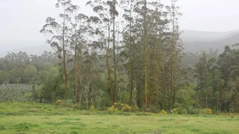 Rain in the mountains Stock Footage 249361103