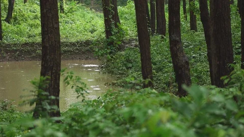 Rain in mountains of Himalayas, Stock Footage 110831105