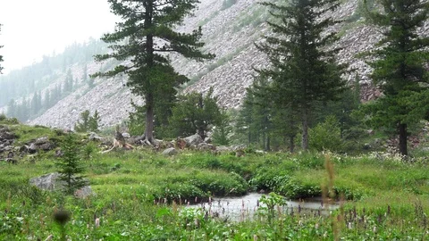 Rain in the mountains of Siberia2 Video stock 113079590