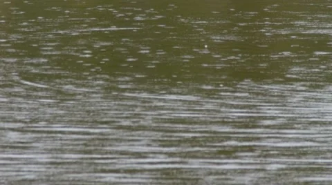 Rain on murky river background 스톡 동영상 50386490