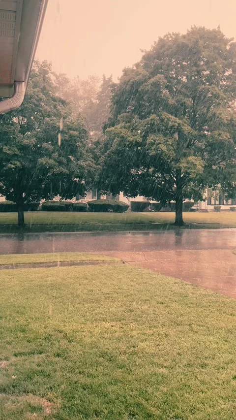 Rain in a neighborhood Video stock 279519637
