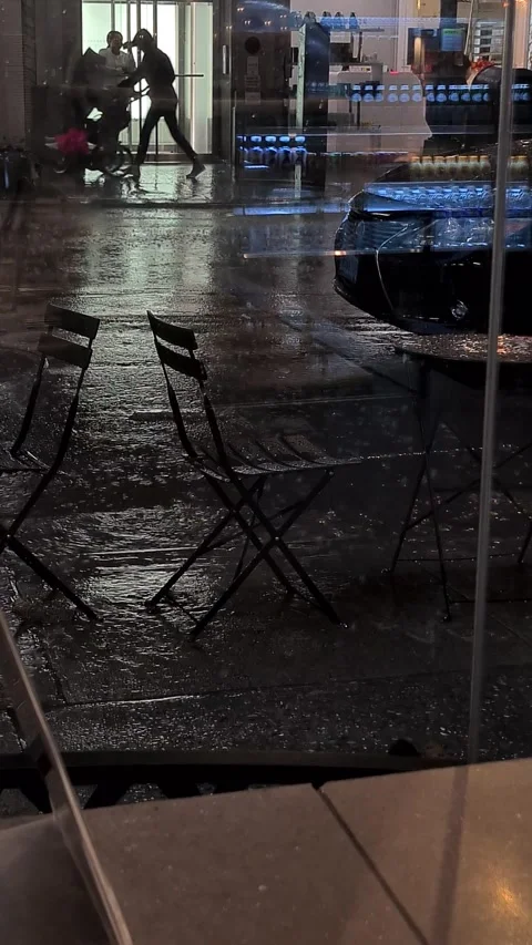 Rain in New York 動画素材 229810199