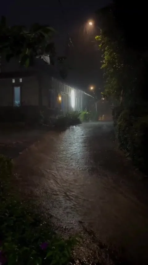 Rain at night Stock Footage 308204901