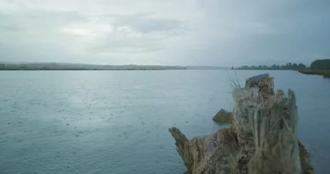 Rain on Ocean, Driftwood in Foreground, 4K Stock Footage 239137259