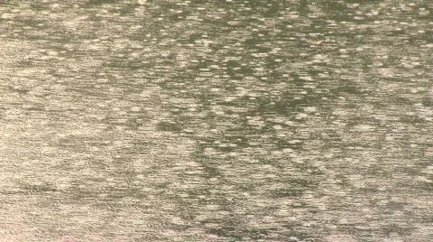 Rain on ocean surface fine Stock Footage 156274