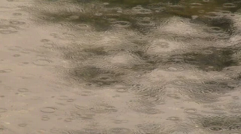 Rain on ocean surface Medium Stock Footage 156475