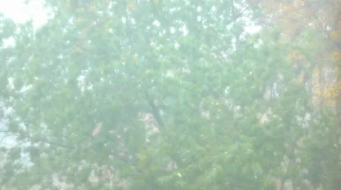 Rain or Snow? Video stock 8850038