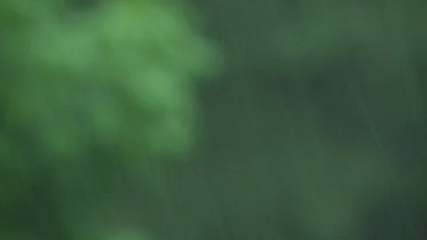 Rain, out of focus background Stock Footage