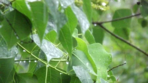 Rain Out The Window 1 Stockbeeldmateriaal 131688480