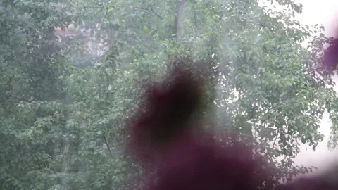 Rain outside and flowers Video stock 103275122