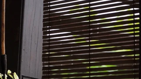 Rain Outside Bamboo Blinds Stock Footage 119424559