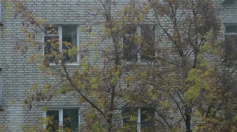 Rain outside Stock Footage 12337626