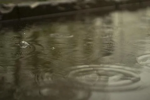 Rain outside. Large puddle in yard. Wet weather. Surface of puddle. Stock Photos