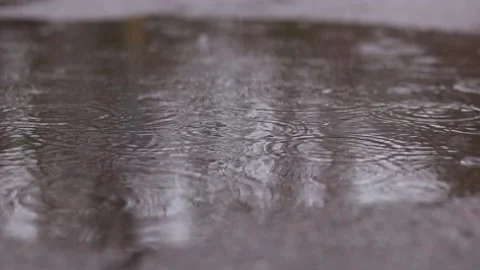 Rain outside, video from ground level. Wet asphalt Stock Footage 236999774