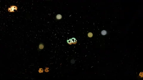 Rain outside the window Stock Footage 68399461