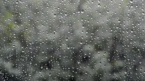 Rain outside the window Stock Footage 115148088