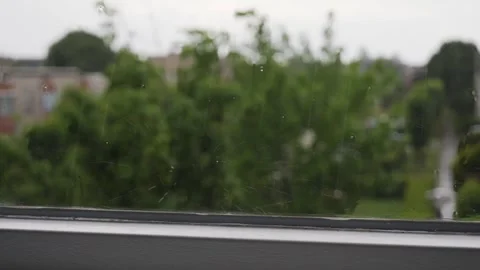 Rain outside the window Stock Footage 312166923