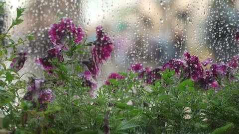Rain outside window of summer café. Raindrops on window glass, blurring of Stock Footage 85040522