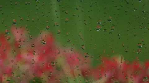 Rain outside the window. Water droplets on glass. Stock Footage 135319522