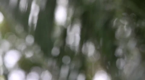 Rain over defocussed background 스톡 동영상 50347731