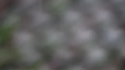 Rain over defocussed background video Video stock 50381667