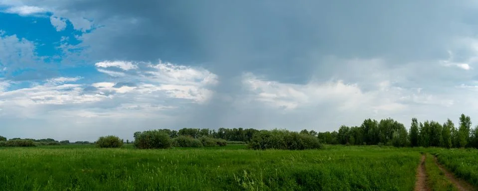 Rain over a forest clearing Stock Photos