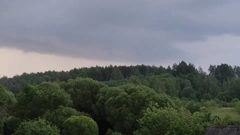 Rain over the forest Stock Footage 245303074