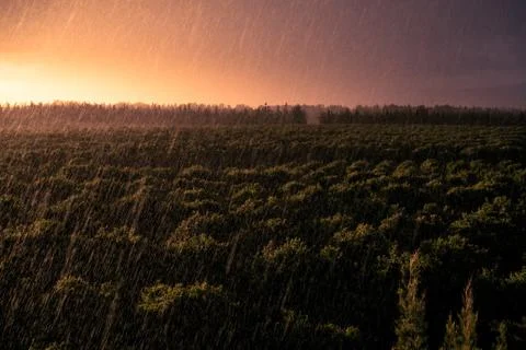 Rain over orange fields at sunset Stock Photos