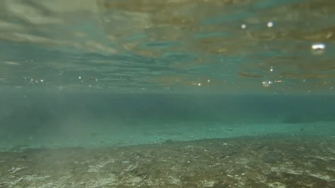 Rain over river seen from underwater and water level perspective with fish Video stock 109422410