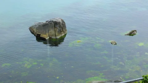 Rain over the seaboard Stock Footage 96636570