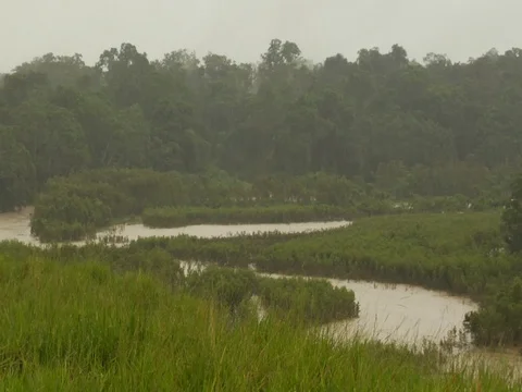 Rain Over a Winding River in Amazon Jungle Rainforest Stock Footage 112939111