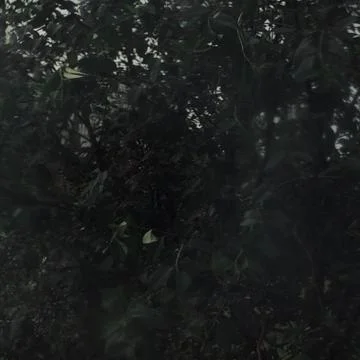 Rain &amp; Pain From Window (first version) Foto stock