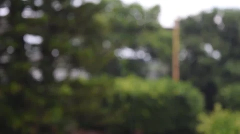 Rain in the park Stock Footage 41410264