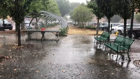 Rain in a Park Видео 101145828