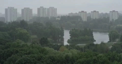 Rain in the park Stock Footage 159162974