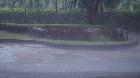 Rain in the Park on a summer day 스톡 동영상 80243339