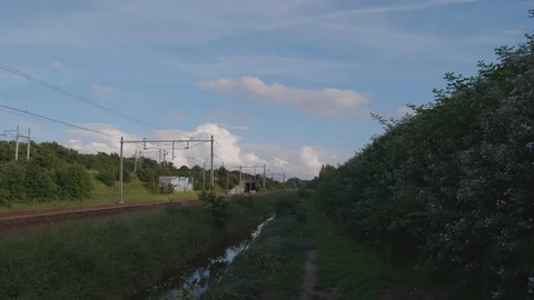 Rain is passing by trough nature. 4K Footage taken at dusk. Stock Footage 110747332