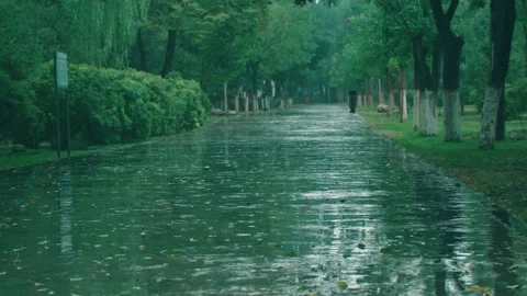 Rain on the path Stock Footage 234053990