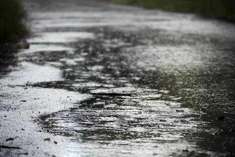 Rain on a Pathway Stock Photos