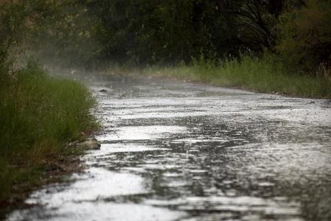 Rain on a Pathway Stock Photos