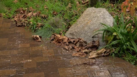 Rain on paved garden pathway Stock Footage 101087968