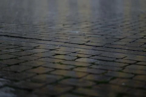 Rain on pavement as a close up Stock Photos