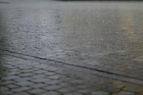Rain on pavement as a close up Stock Photos