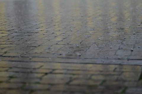 Rain on pavement as a close up Stock Photos