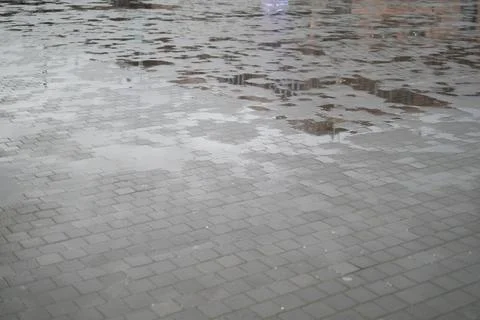Rain on the pavement creates reflections in an urban area Stock Photos