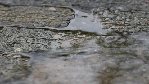 Rain on pavement Stock Footage 8521330