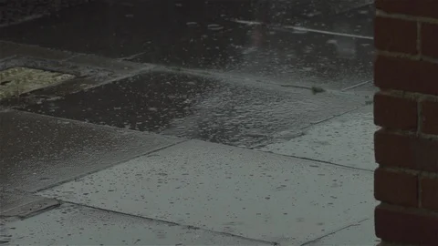 Rain on pavement Stock Footage 93208169