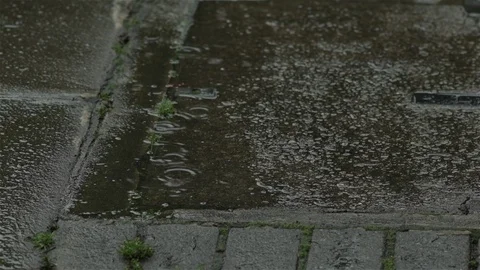 Rain on pavement Stock Footage 93208551