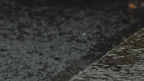 Rain on pavement Stock Footage 93208632