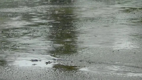 Rain on Pavement Stock Footage 129656190